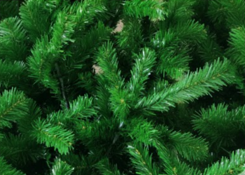 Greenila's Classic Pine 5ft Xmas Tree