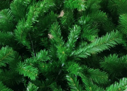Greenila's Classic Pine 5ft Xmas Tree